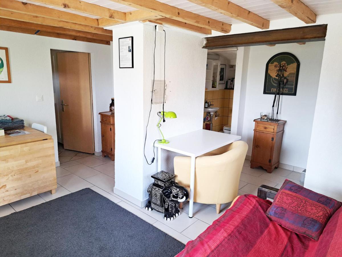 "Les Echalas" Appartement Independant Avec Cuisine En Lavaux Unesco 쉐브레스 외부 사진